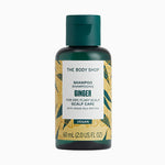 Ginger Scalp Care Shampoo Mini main
