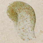 Seaweed Pore-cleansing Exfoliator 3