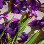 Full Iris Eau de Parfum 3