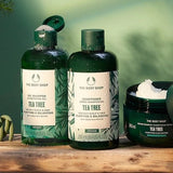 Tea Tree Purifying & Balancing Conditioner 2