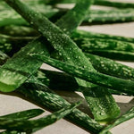 Aloe Soothing Toner 5