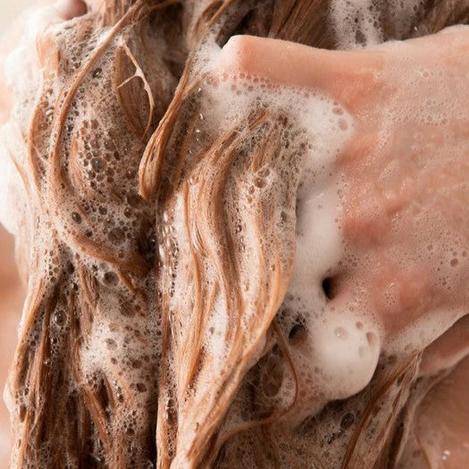 Moringa Shine & Protection Shampoo 5
