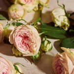 Full Rose Eau de Parfum 5