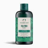 The Body Shop Tea Tree Shampoo bottle on a white background