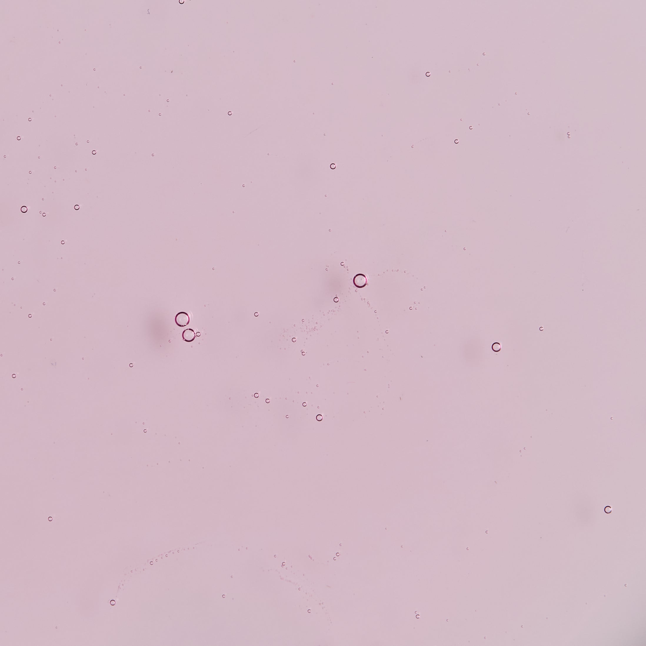 A light pink field with scattered small translucent bubble-like circles and a few faint ring shapes, resembling a microscope slide or stained glass surface.