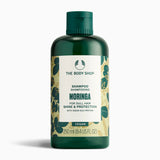 Moringa Shine & Protection Shampoo main