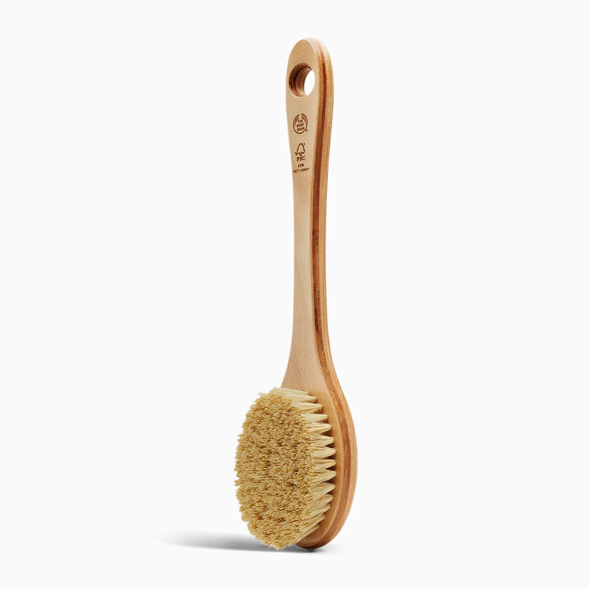 Cactus Long Handle Brush main