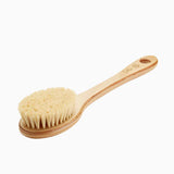 Cactus Long Handle Brush 2