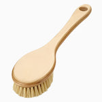 Cactus Long Handle Brush 3