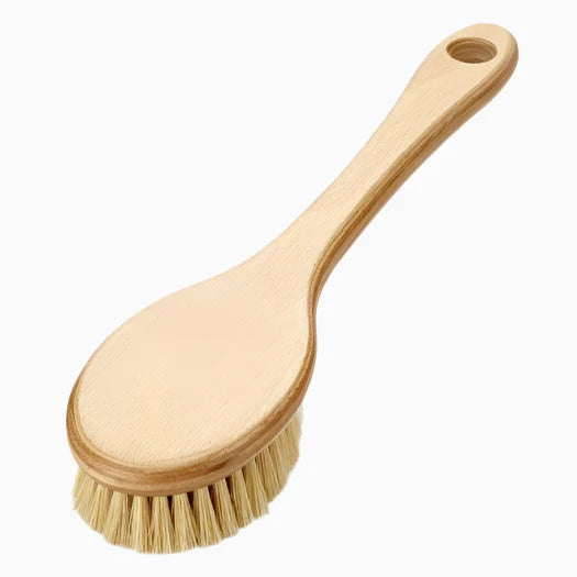 Cactus Long Handle Brush 3
