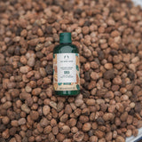 Bottle of The Body Shop Shea Shower Cream on a bed of shea nuts