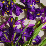 Full Iris Eau de Parfum