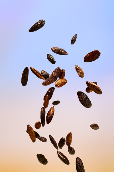 Tonka Beans falling against a gradient background