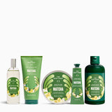 Matcha & White Chocolate Collection