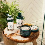 Shea butter products on a wooden stool with plants in the background